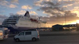 DFDS Ferry Cabin Tour amp Mini Ship Tour [upl. by Sher772]