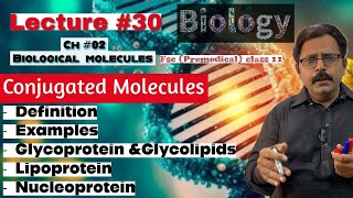 Conjugated molecules  Glycoprotein amp Glycolipids  Lipoprotein Nucleoprotein  Biology class 11 [upl. by Yelsek]