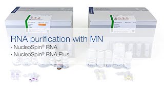 RNA purification with MN – NucleoSpin® RNA and NucleoSpin® RNA Plus [upl. by Aidaas]