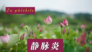 La Phlébite Causes prévention 静脉炎：原因，预防 Comment soigneton une phlébite静脉炎 久坐下肢痠痛靜脈血栓靜脈血栓 [upl. by Irrabaj]