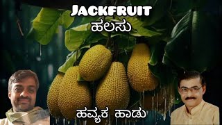 ಹಲಸು  Jackfruit  A song in Havyaka Kannada  ಹವ್ಯಕ ಭಾಷೆಯ ಒಂದು ಹಾಡು [upl. by Nosnor]