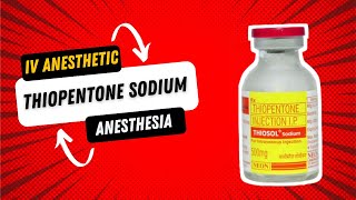 Thiopentone sodium  Intravenous Anesthetic agent [upl. by Hgielsa213]