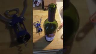 Restopping or recorking a wine bottle [upl. by Teplitz]