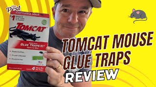 Exterminator Review Are Tomcat Mouse Glue Traps Worth the Controversy [upl. by Aerdnahs]