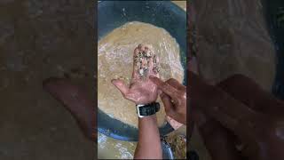 wow I got 12grams of gold under this big rock viral mininggold lookingforgold panningforgold [upl. by Cynar]