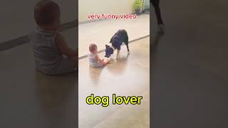 Dog lover funny video 😂 shortvideo comedy [upl. by Darcie]