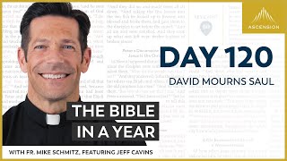 Day 120 David Mourns Saul — The Bible in a Year with Fr Mike Schmitz [upl. by Anirpas]