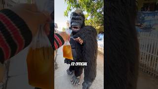 Kingkong Raksasa dikasih minum es teh jus [upl. by Tereve34]