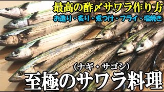 サワラサゴシ釣ってフルコースしたら今年No1の美味しい料理ができた！至極の酢〆サワラの作り方【炙り・お造り・フライ・煮つけ・塩焼き】 [upl. by Cavill]