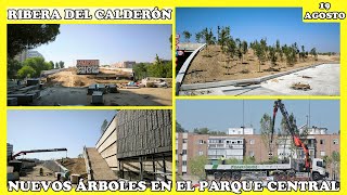 🚧 NUEVOS ÁRBOLES EN EL PARQUE CENTRAL  OBRAS DE LA RIBERA DEL CALDERÓN  MADRID 19 AGOSTO 2024 🚧 [upl. by Ahsar]