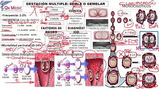 10 GESTACIÓN MULTIPLE [upl. by Marna]