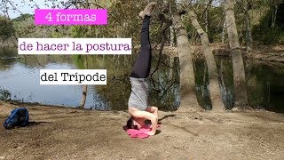 4 Formas de hacer la postura del trípode  Tutorial de yoga [upl. by Cadmar]