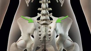 Sacroiliac Joint Pain Explainer  ChiroUp EvidenceBased Chiropractic [upl. by Nev]