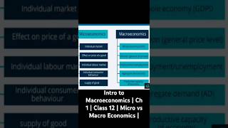 Introduction to Micro amp Macro Economics Class 12  Differences  Key Takeaways economicsclass12 [upl. by Kessiah]