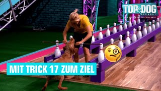 Bestzeit für Jule amp Kalle 🐶  Top Dog Germany 2022 [upl. by Kassia545]