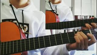 Seni Severdim  Gitar Cover RitimSolo [upl. by Aihsotan617]