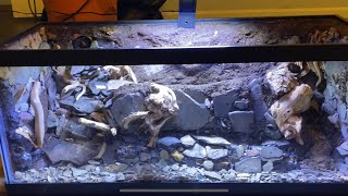 New Paludarium  DIY [upl. by Elyc]