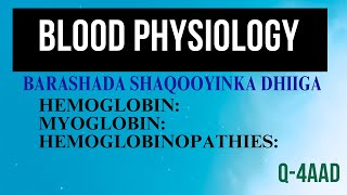 Hemoglobin  Myoglobin  Hemoglobinopathies  AFSOOMAALI [upl. by Millisent115]