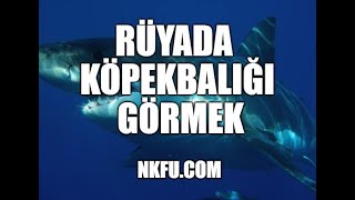 Rüyada Köpekbalığı Görmek Ne Anlama Gelir [upl. by Sidran]