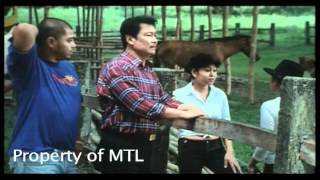 Tatlong Baraha  Part 58 2006 Movie  Lito Lapid Mark Lapid Maynard Lapid [upl. by Lebazej]