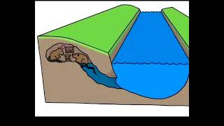 The geomorphology of a river [upl. by Atsylak40]