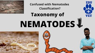 Phylum Nematoda Basics Veterinary Parasitology [upl. by Neerhtak517]