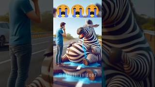 From Rescue to Renewal The Journey of a Pregnant Zebraquot🦓 zebra pregnant animals help story [upl. by Fleur]