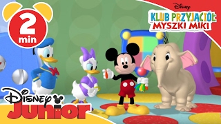 Klub przyjaciół Myszki Miki  Urodziny Minnie Oglądaj tylko w Disney Junior [upl. by Melamie]