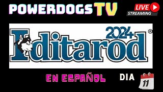 Powerdogs Tv Iditarod 2024 Resumen día 12 [upl. by Yhcir]