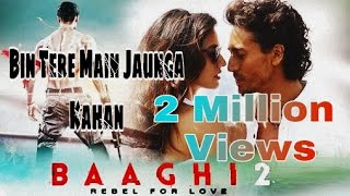 Bin Tere Main Jaunga Kanha  Baaghi 2 Song  Ash Vblog [upl. by Yreva]