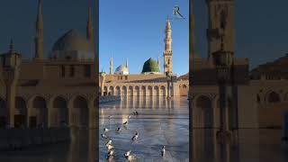 Seyyed abdul wasi qadri razvi naat shorts new viralvideo [upl. by Mide]