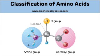 Protein Chemistry Session 3Nutritional amp Metabolic Classification of Amino Acids [upl. by Anema584]