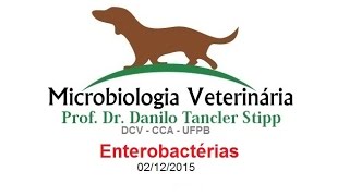 Micro Vet 20151 Aula 14  Enterobactérias [upl. by Ahsitam435]