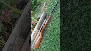 Glenfield Marlin Model 60 22longrifle [upl. by Freiman102]