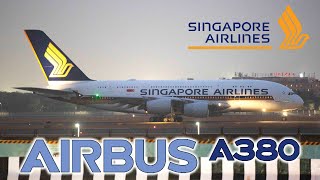 The KING of the SKY  SUPER JUMBO Airbus A380  SINGAPORE  DELHI landing [upl. by Atelahs473]