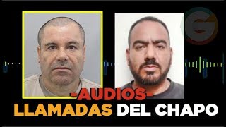 Audios de las llamadas del Chapo y El Cholo Iván JuicioChapo [upl. by Reinhold691]