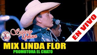 MIX LINDA FLOR  SILVERIO URBINA 2019  Promotora EL CHATO [upl. by Daffie]