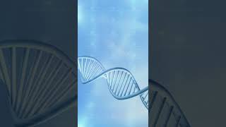 DNA strand model on light blue background [upl. by Sivlek]