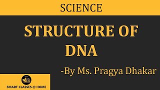 Structure of DNA BSc MSc lecture by Pragya Dhakar I Guru Kpo [upl. by Fita]