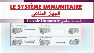 Le système immunitaire ملخص درس  réponse immunitaire spécifique à voie humorale [upl. by Wivinah]