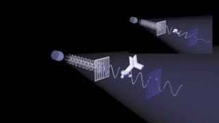 Fluorescence Polarization [upl. by Baxie]