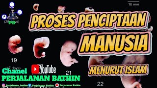 PROSES PENCIPTAAN MANUSIA MENURUT ISLAM [upl. by Ailimaj]