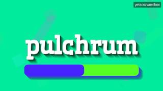 PULCHRUM  HOW TO PRONOUNCE IT [upl. by Pasadis663]