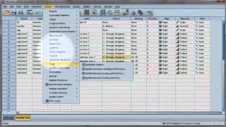 Reliability test Compute Cronbachs alpha using SPSS [upl. by Atiuqal605]