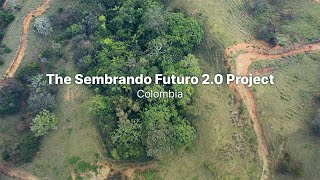 Reviving Colombias Native Forests A Biodiversity Restoration Partnership  Terraformation Projects [upl. by London]