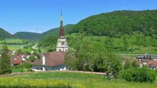 Die Frauenschuh am Randen  Schwedenschanze  Hagenturm 18 Mai 2015 [upl. by Lauhsoj198]