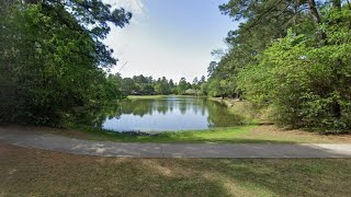 Fetus found inside urn floating in pond at park in The Woodlands [upl. by Amikehs537]