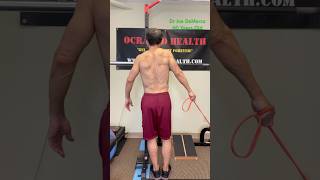 Upper Trapezius Exercise  50 Plus [upl. by Alwitt]