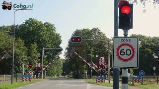 Spoorwegovergang Rosmalen 😍4K😍  Dutch railroad crossing [upl. by Nytsirt788]