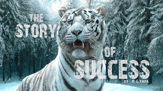 The Story of Success An Original Cinematic Orchestral composition [upl. by Manno]